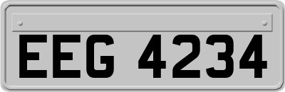 EEG4234