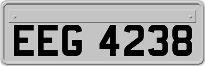 EEG4238