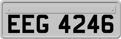EEG4246