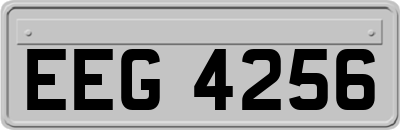 EEG4256