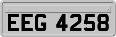 EEG4258