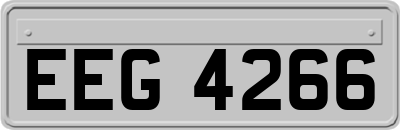 EEG4266