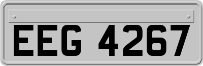 EEG4267