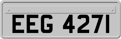 EEG4271