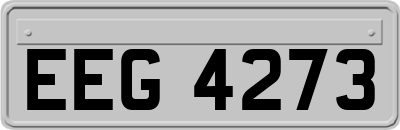 EEG4273