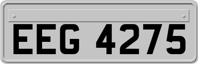 EEG4275