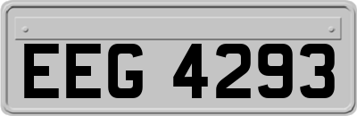 EEG4293