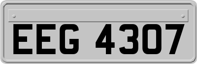 EEG4307