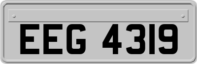 EEG4319