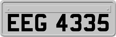 EEG4335