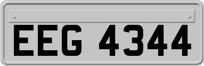 EEG4344