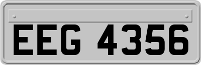 EEG4356