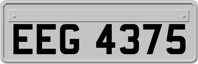 EEG4375