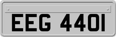 EEG4401