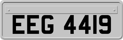 EEG4419