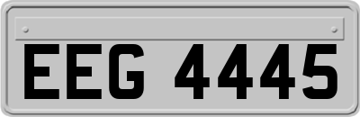 EEG4445