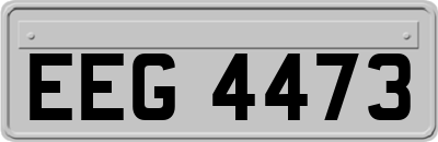 EEG4473