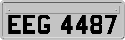 EEG4487