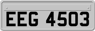 EEG4503
