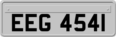 EEG4541