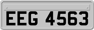 EEG4563