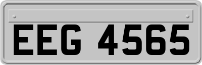 EEG4565