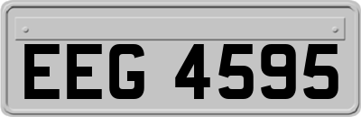 EEG4595