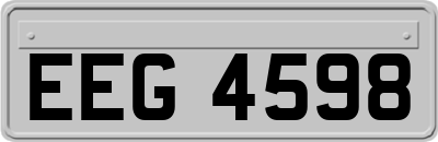 EEG4598