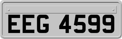 EEG4599