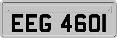 EEG4601