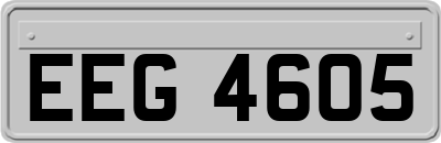 EEG4605
