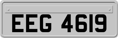 EEG4619