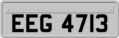 EEG4713