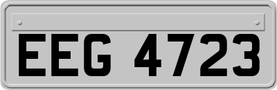 EEG4723