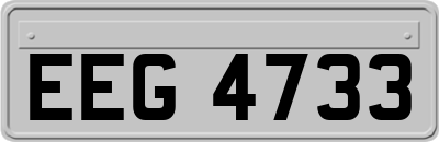 EEG4733