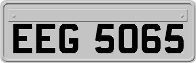 EEG5065