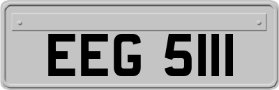 EEG5111
