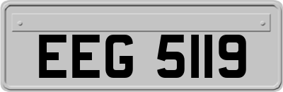 EEG5119
