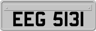 EEG5131