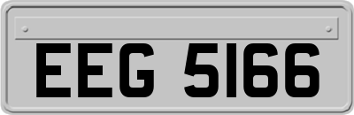 EEG5166