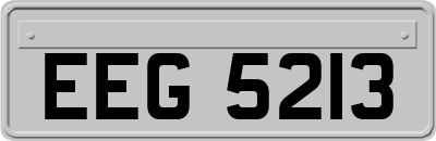 EEG5213