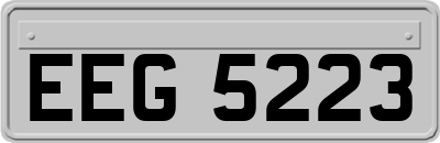 EEG5223