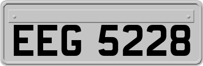 EEG5228