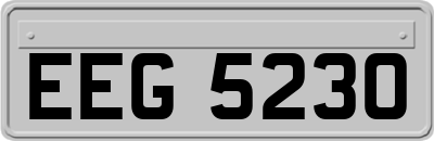 EEG5230