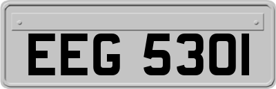 EEG5301