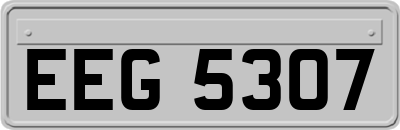 EEG5307