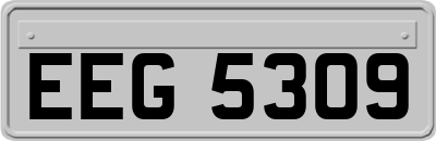 EEG5309