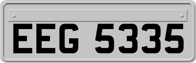 EEG5335