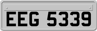 EEG5339