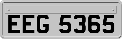 EEG5365